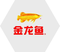 長(zhǎng)春拓展訓(xùn)練,團(tuán)隊(duì)拓展培訓(xùn),百分百教育