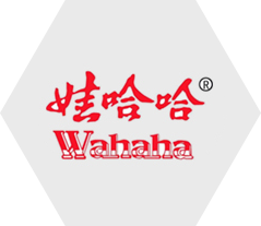 長(zhǎng)春拓展訓(xùn)練,團(tuán)隊(duì)拓展培訓(xùn),百分百教育